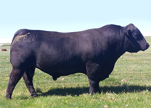 S A V Harvestor 8330