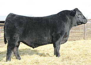 S A V Harvestor 8330