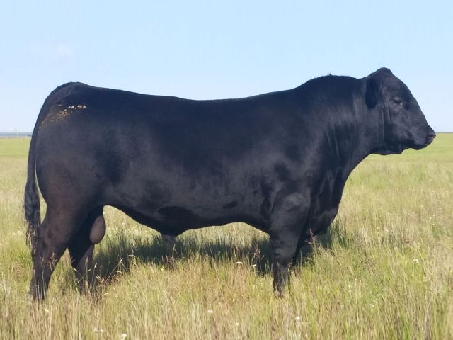 S A V Harvestor 8330