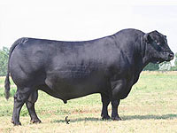 S A V Final Answer 0035