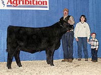 BJ'S ROSEBUD 0091 17T